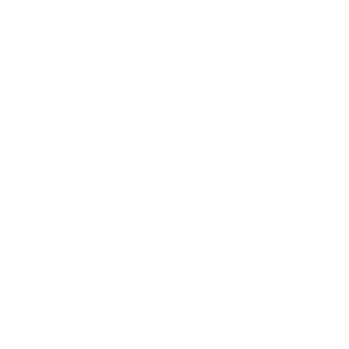 logo-voith